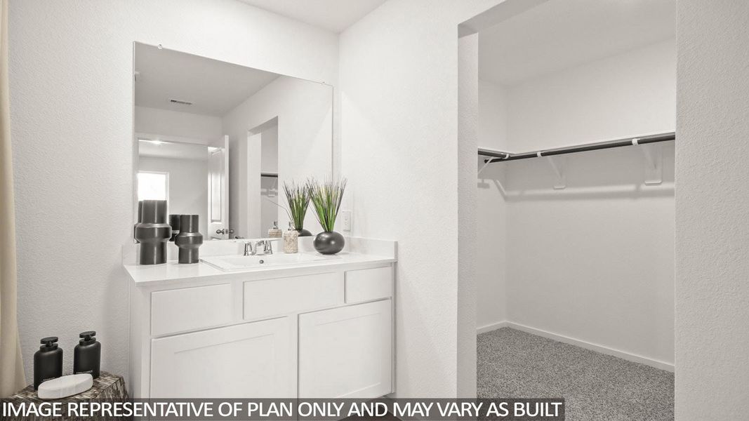 Bathroom with a walk in closet, vanity, light carpet, and a textured wall