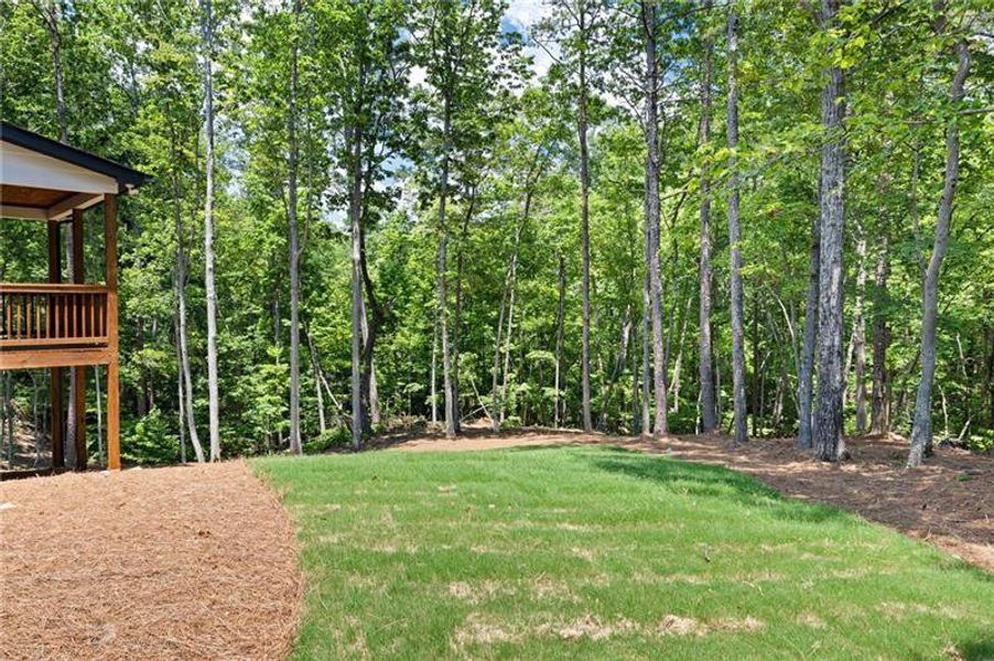Natural landscape and outdoor views near  in Cartersville (Image 41).