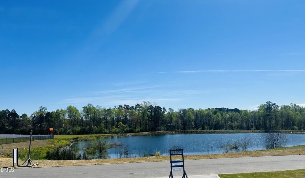COMMUNITY POND COMMUNITY POND