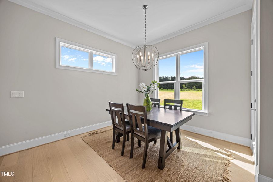 19-web-or-mls-IMG_2032