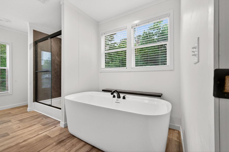 Furnished interior view inside a new home in , Eutawville (Image 3).
