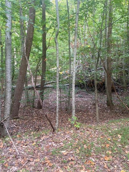 Natural landscape and outdoor views near  in Ranger (Image 16).