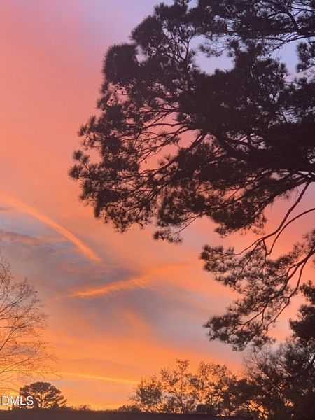 sunset 619