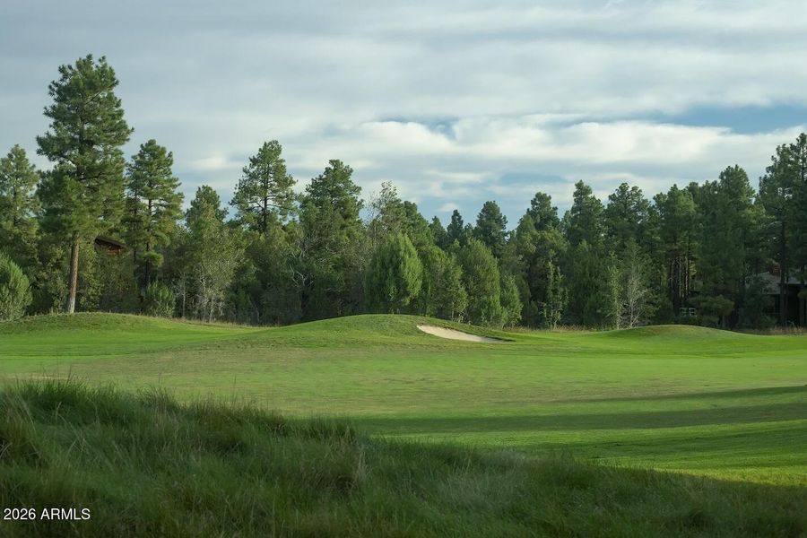 Torreon-Golf-Course-16-2