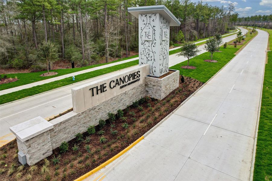 Image 14 of a home in The Canopies.