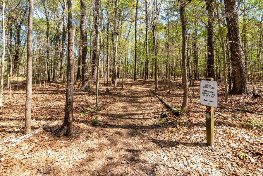 Natural landscape and outdoor views near The Landings at Montague in Goose Creek (Image 36).