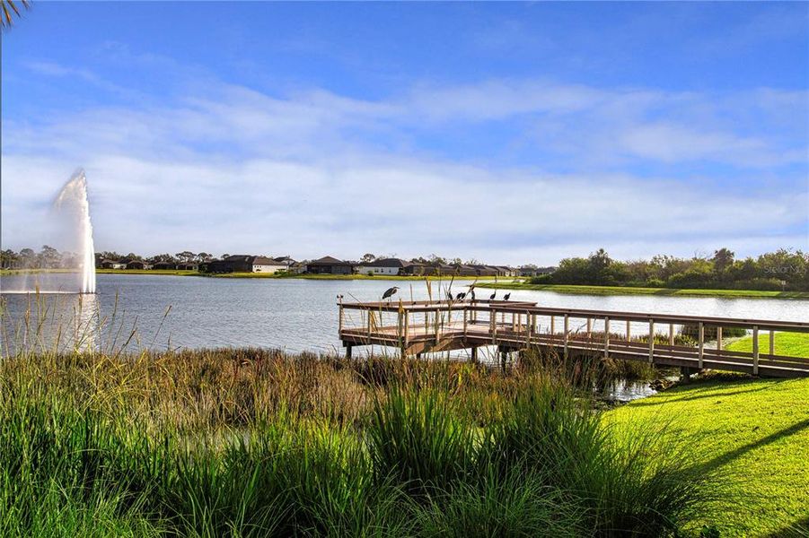 Natural landscape and outdoor views near Del Webb BayView in Parrish (Image 60).