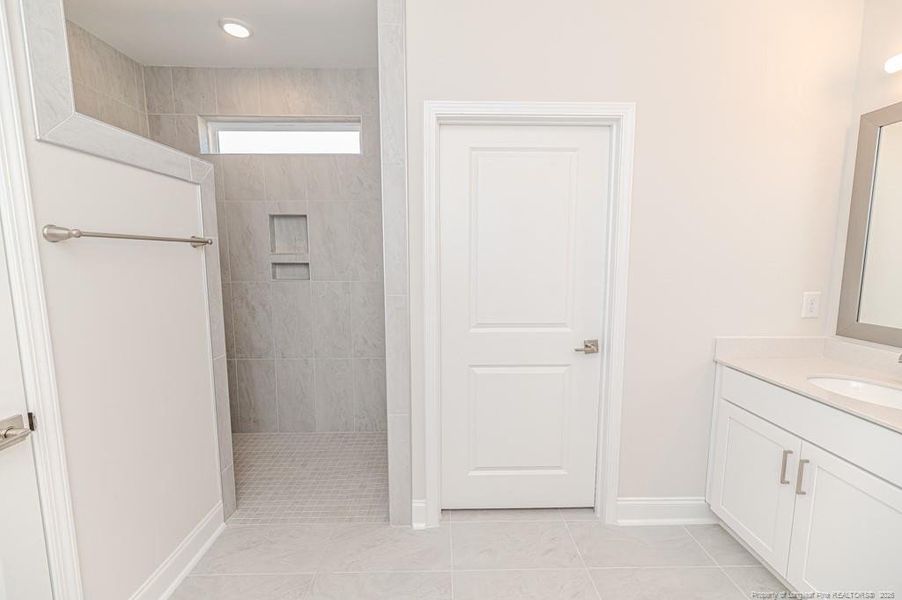 Master Shower Entry View