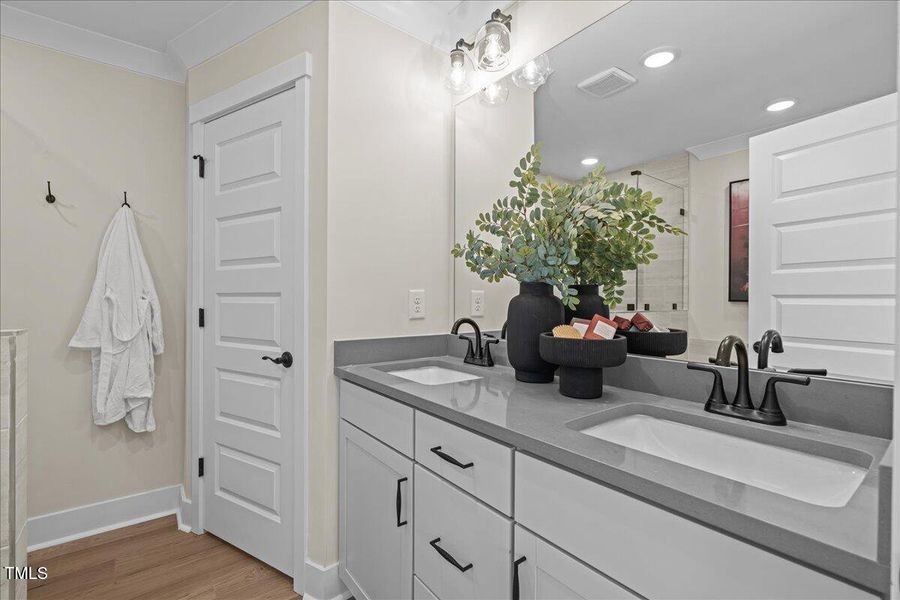 25-DSC01973 25-DSC01973