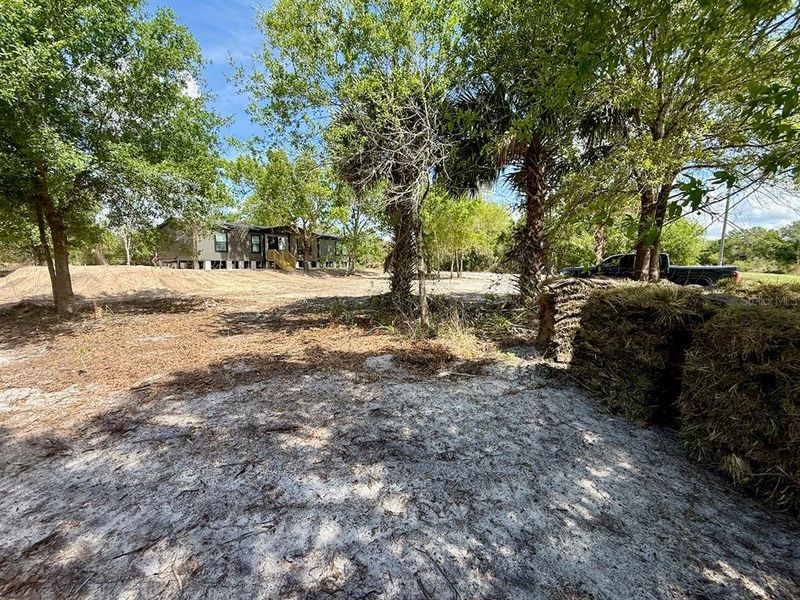 Natural landscape and outdoor views near  in Okeechobee (Image 49).
