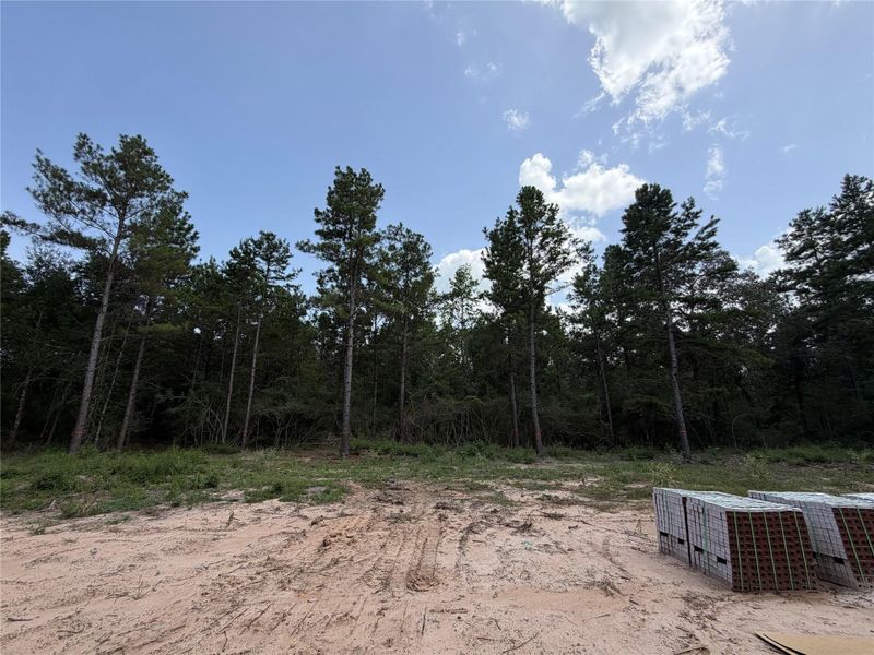 Expansive wooded lot with tall trees, offering a serene and natural setting, ready for development or custom build. Expansive wooded lot with tall trees, offering a serene and natural setting, ready for development or custom build.
