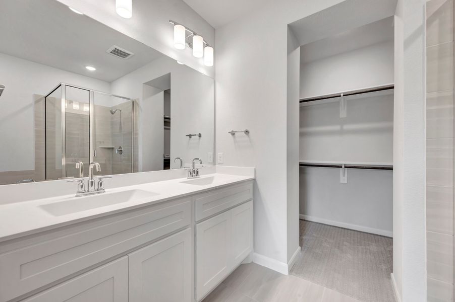 Owner's Bath