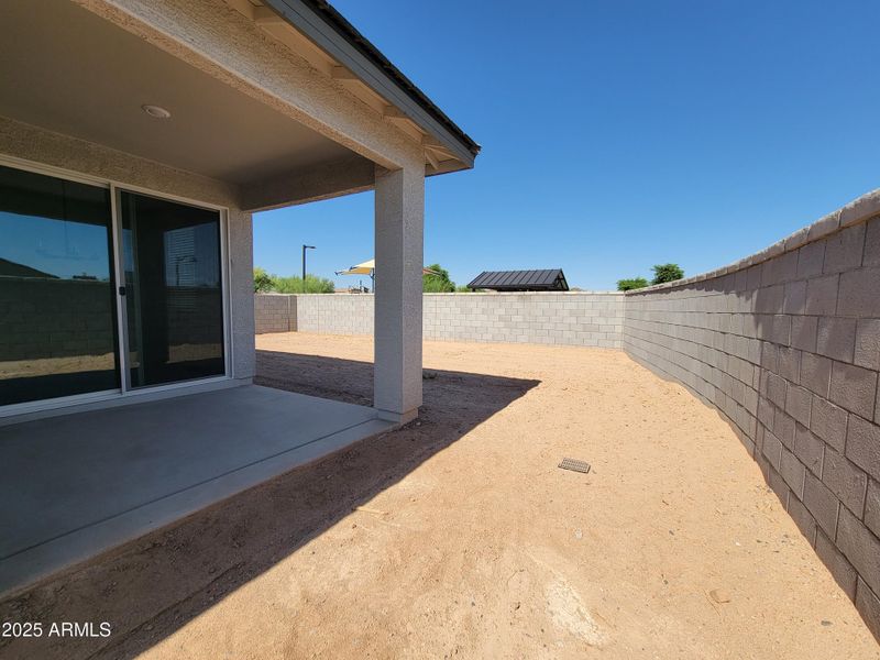 1000043538 1000043538