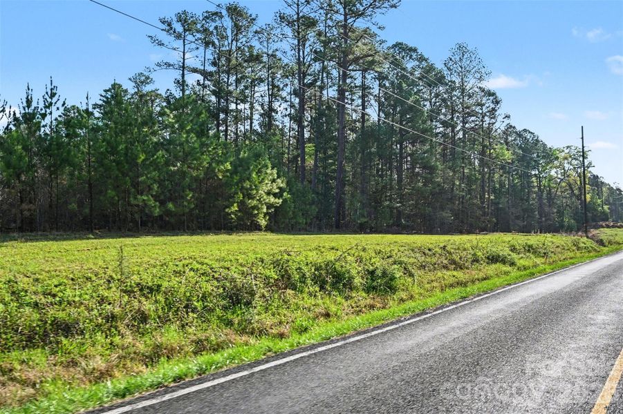 Natural landscape and outdoor views near  in Concord (Image 31).