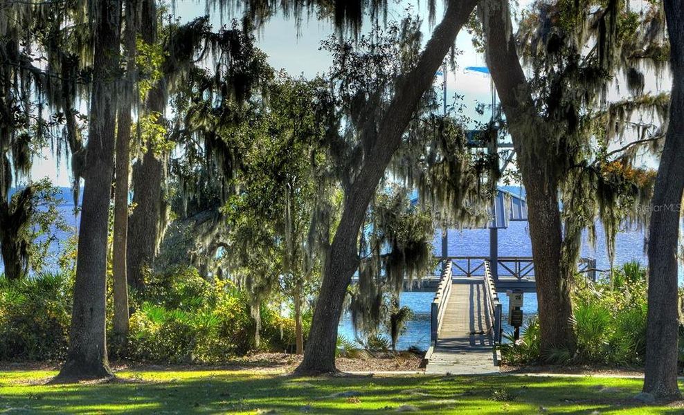 Natural landscape and outdoor views near  in St. Johns (Image 26).