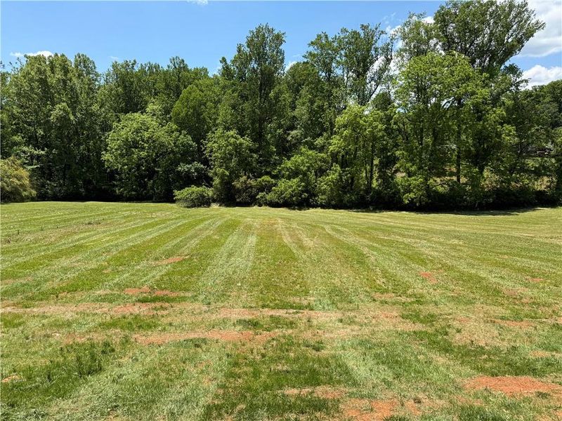 Natural landscape and outdoor views near  in Dahlonega (Image 12).