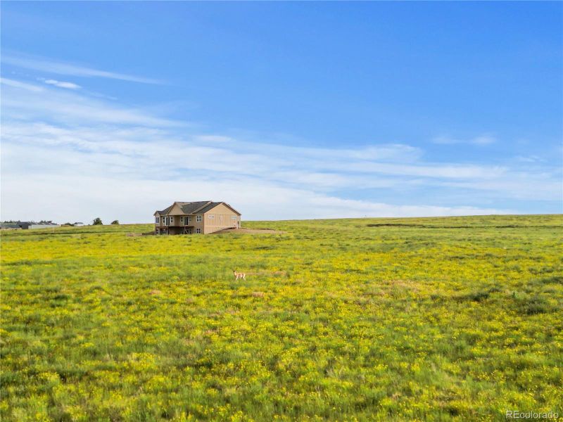 9. Rear angled view of the framed home with elevated deck supports and walk-out basement opening.
