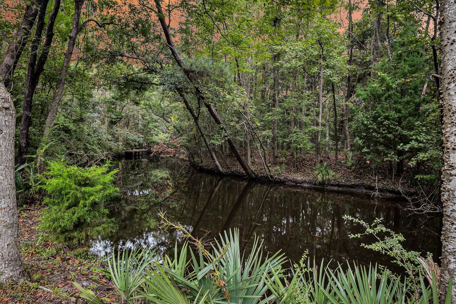 Natural landscape and outdoor views near  in Johns Island (Image 48).