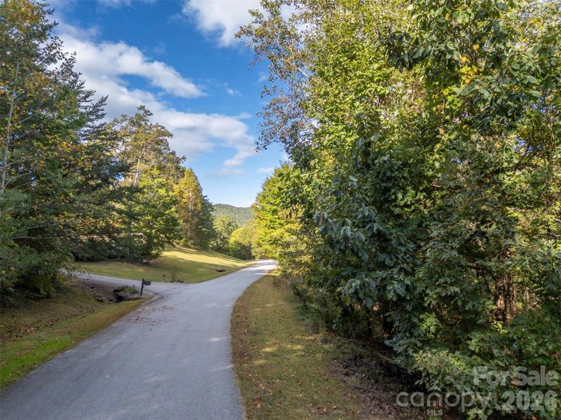 Natural landscape and outdoor views near  in Landrum (Image 11).