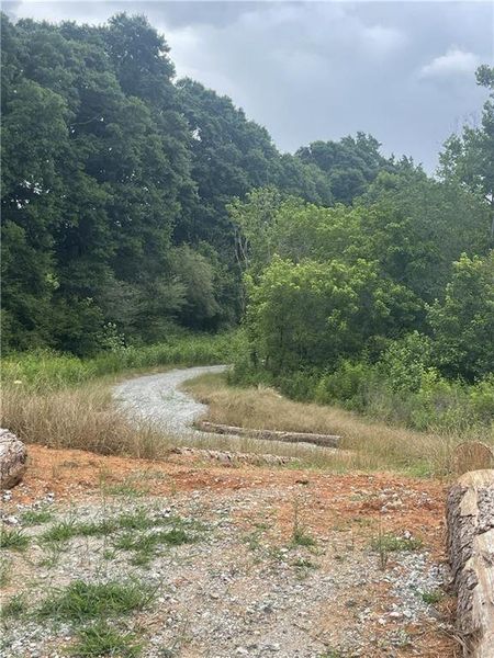 Natural landscape and outdoor views near Etowah Landing in Ball Ground (Image 37).