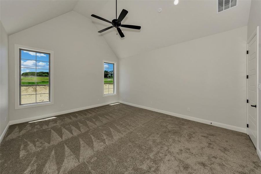 Unfurnished room featuring high vaulted ceiling, healthy amount of natural light, dark carpet, and a ceiling fan