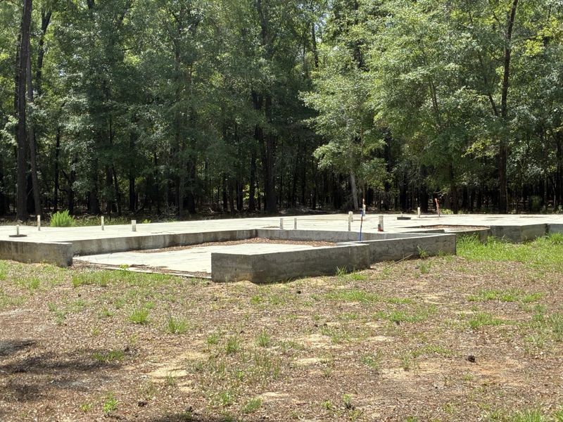 Natural landscape and outdoor views near  in Walterboro (Image 3).