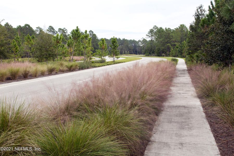 Natural landscape and outdoor views near  in St. Augustine (Image 28).