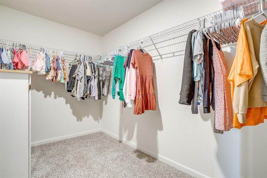 Spacious closet with carpet floors
