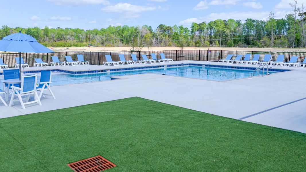 Community amenities in Vineyard Trail, Jacksonville (Image 35).