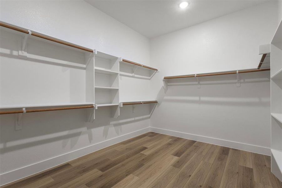 Spacious closet featuring light wood finished floors