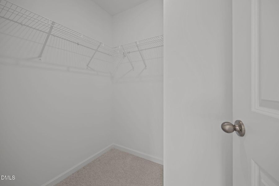 31-web-or-mls-6S8A4284