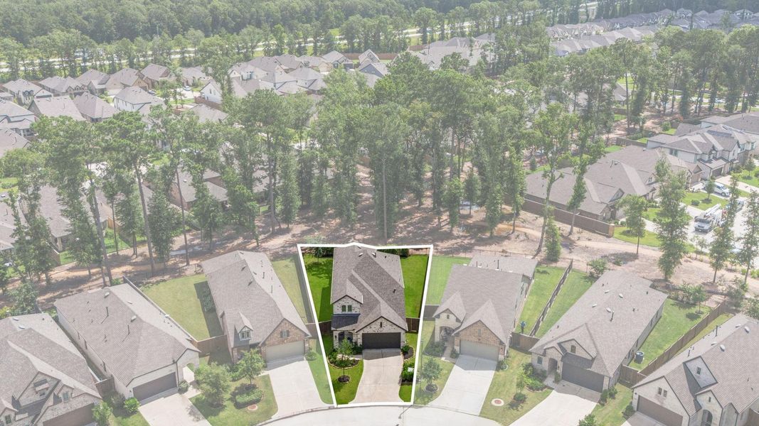 Premium lot position backing up to trees Premium lot position backing up to trees