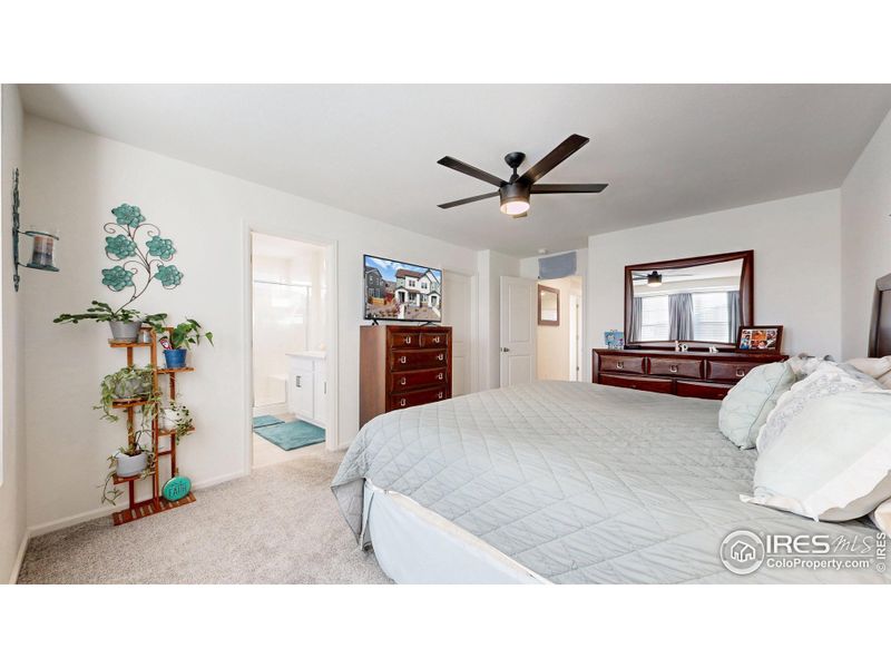 Primary Suite Primary Suite