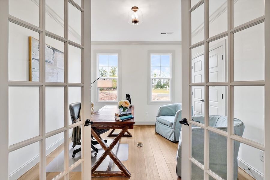 Lumina Island, Study