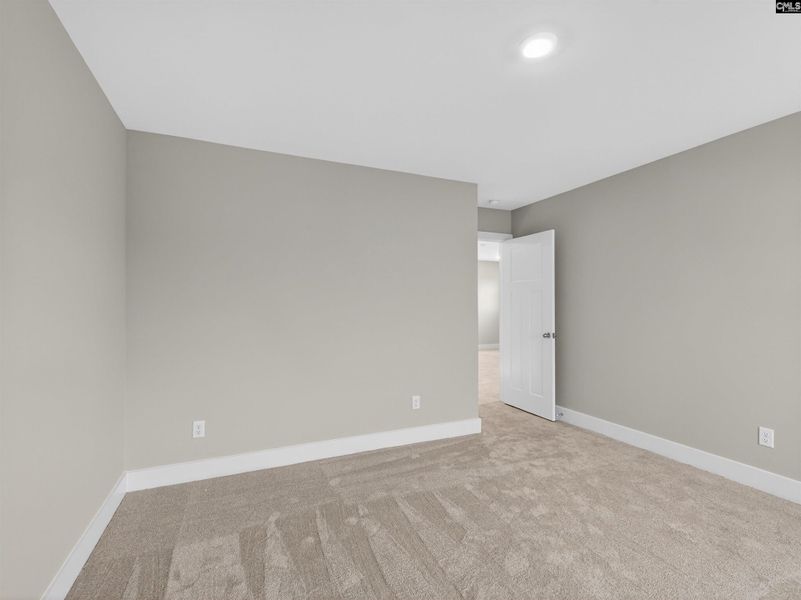 Spacious, unfurnished interior of a new home in Collins Cove, Chapin (Image 54).