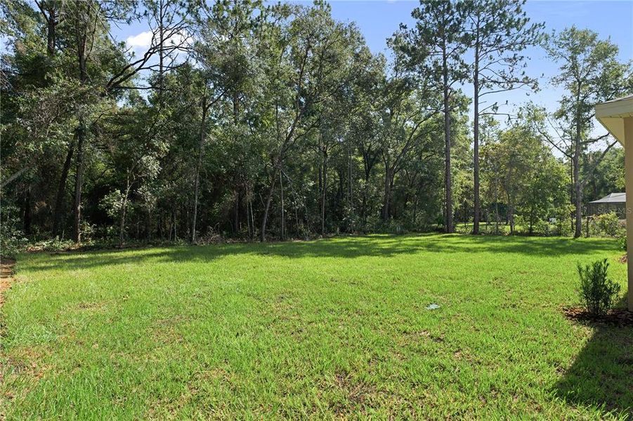 Natural landscape and outdoor views near in Hernando (Image 45). Natural landscape and outdoor views near in Hernando (Image 45).