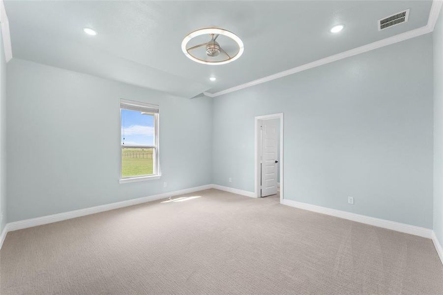 Empty room with crown molding and carpet floors