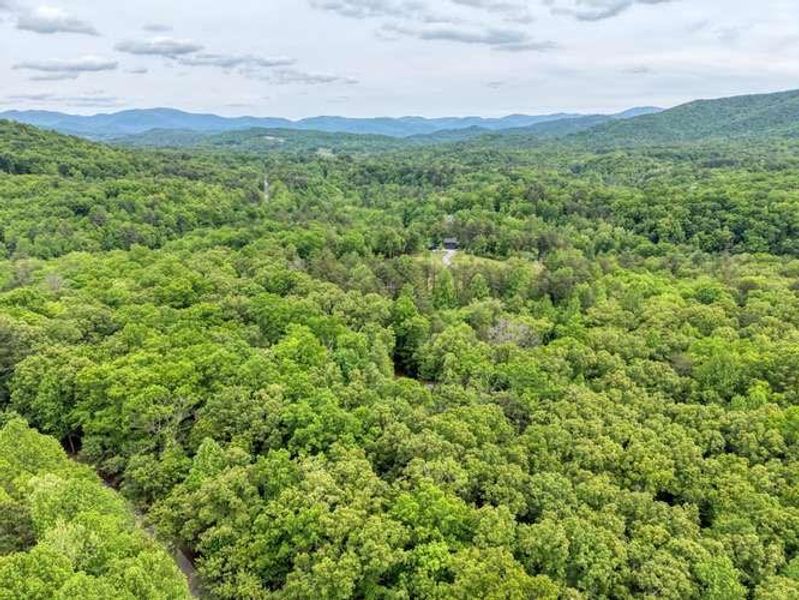 Natural landscape and outdoor views near  in Blairsville (Image 30).