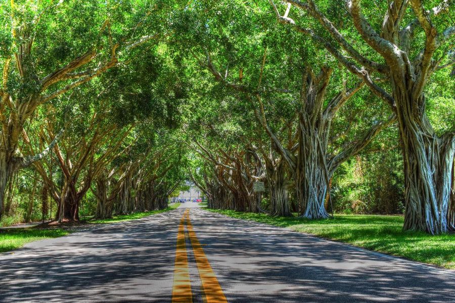 Nearby Hobe Sound Nearby Hobe Sound