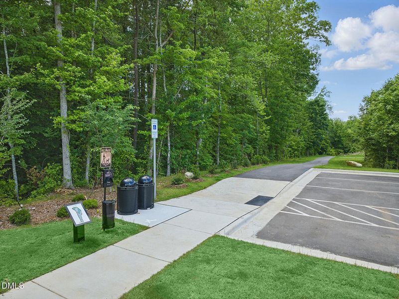 30-print-Photo_024 copy 30-print-Photo_024 copy