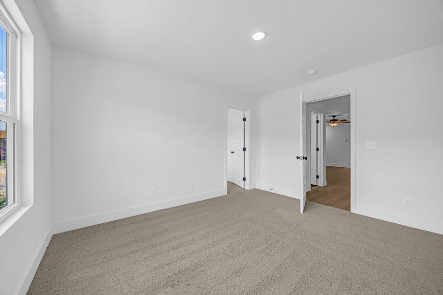 rp2508191-1019 rp2508191-1019