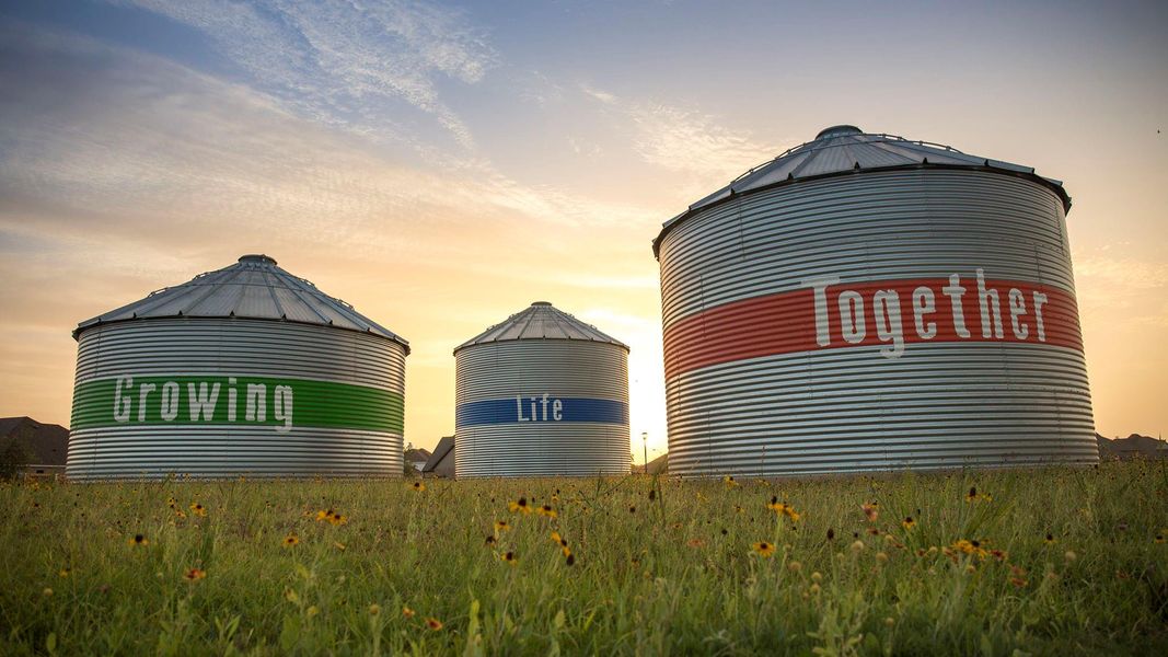 Image 7 of a home in Harvest Green 45'.