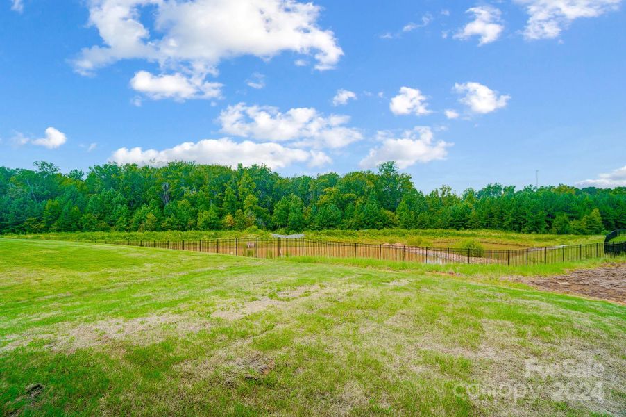 View of Backyard