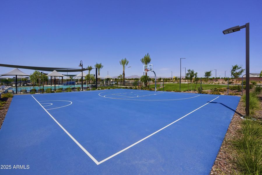 BASKETBALL COURT BASKETBALL COURT