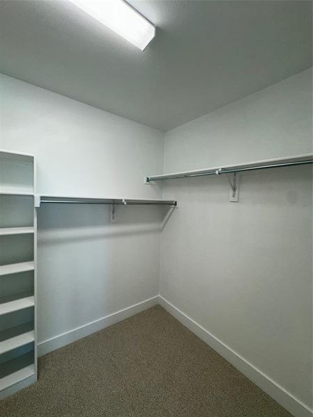 Walk in closet featuring dark carpet