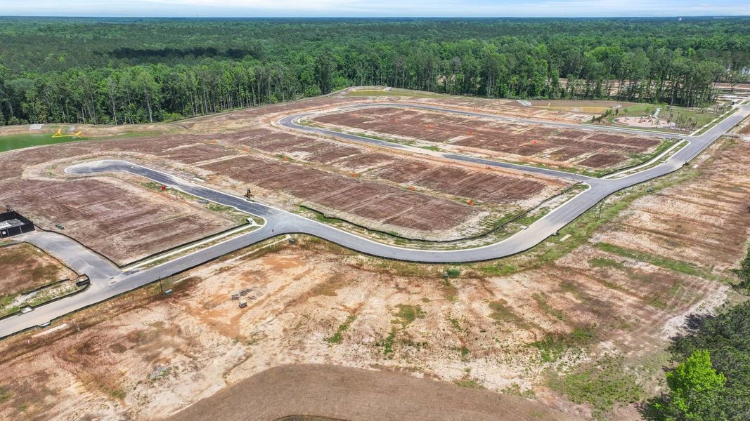 Site preparation for new homesites in Pineview North, Summerville (Image 20).