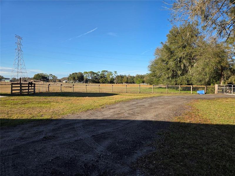 Natural landscape and outdoor views near  in Plant City (Image 25).