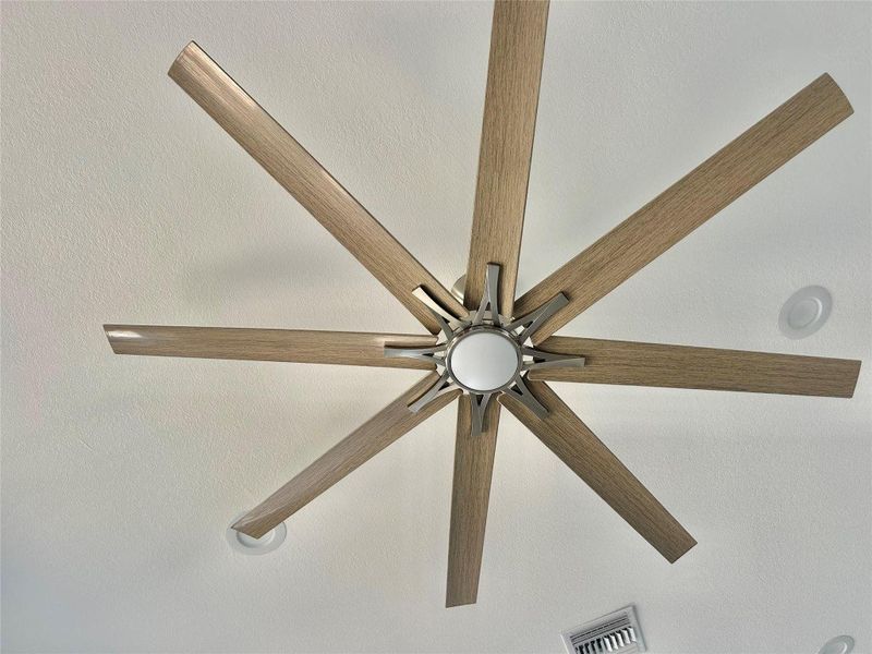 Photo​​‌​​​​‌​​‌‌​​​‌​‌​​​​‌‌​‌​​​​‌​​‌​​​​‌​ 17