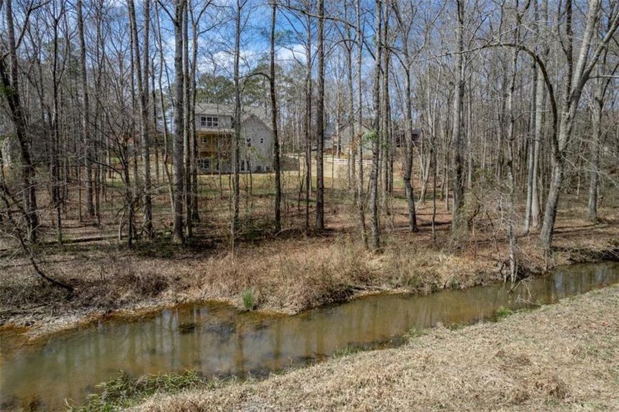 Natural landscape and outdoor views near  in Covington (Image 53).