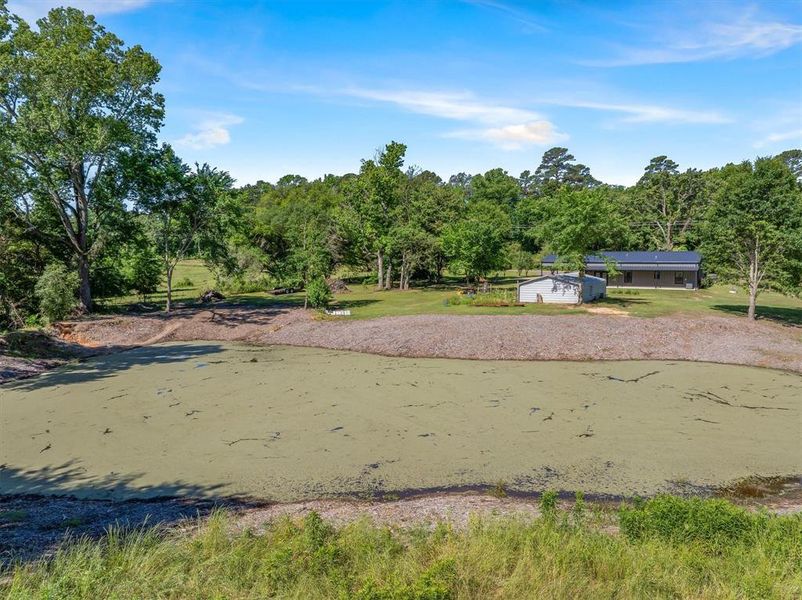 Natural landscape and outdoor views near in Winnsboro (Image 25). Natural landscape and outdoor views near in Winnsboro (Image 25).